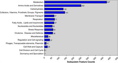 Complete genetic characterization of carbapenem-resistant Acinetobacter johnsonii, co-producing NDM-1, OXA-58, and PER-1 in a patient source